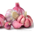 Garlic Farm Top Dientes de ajo frescos